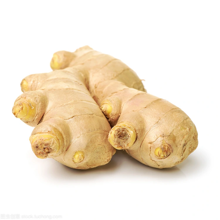 నాణ్యతతో కూడిన కొనుగోలుదారులకు ప్రీమియం తాజా అల్లం ఎందుకు ప్రాధాన్య ఎంపిక?